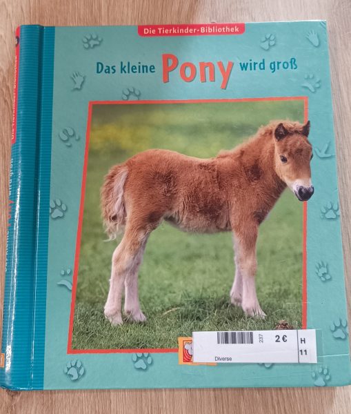 Das kleine Pony wird groß